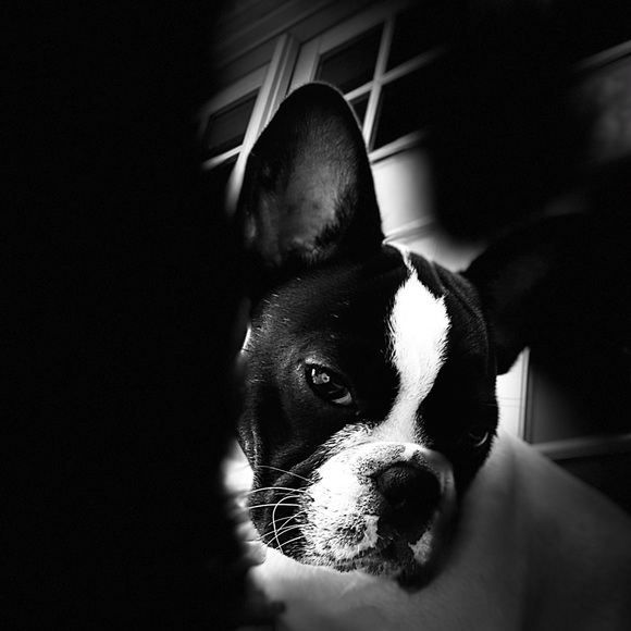 Meet your Posher, Dani ๐พ - Picture 5 of 16